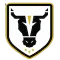 BULLS FC ACADEMY