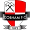 Cobham FC