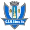 Csm Targu Jiu