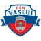 Csm FC Vaslui