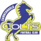 Cumbernauld Colts FC