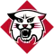 Davidson Wildcats