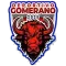 Deportivo Gomerano