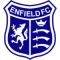 Enfield 1893