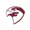 Fairmont State Fighting Falcons