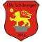 FSV Schoningen 2011