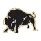 Harding Bisons