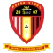 Hayes & Yeading United FC