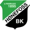 Honefoss BK