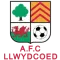 Llwydcoed AFC