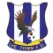 Lye Town Lfc