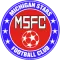 Michigan Stars FC