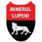 Minerul Lupeni