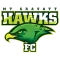 MT Gravatt Hawks