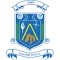 Newbridge Town FC