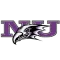 Niagara Purple Eagles