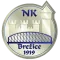 NK Brezice 1919