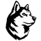 Northeastern Huskies