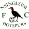 Nsingizini Hotspurs FC Eswatini