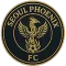 Seoul Phoenix FC