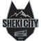 Sheki City