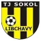 SK Libchany