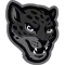 Texas AM-San Antonio Jaguars