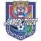 Tianjin Jinmen Tiger