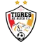 Tigres De Alica FC