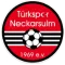 Turkspor Neckarsulm