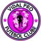 Vidal Pro