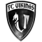 Vikings Playone FC