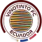 Vinotinto FC