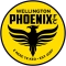 Wellington Phoenix Reserve