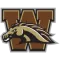 WESTERN MICHIGAN BRONCOS