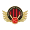 Winchester City Flyers Lfc