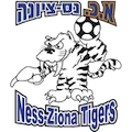 AK Nes Tziona logo