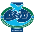 Bjerringbro-Silkeborg Haandbold logo