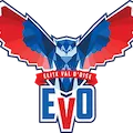 Elite Val D Oise logo