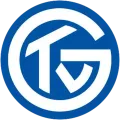 TV Grosswallstadt logo