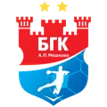 HC Meshkov Brest logo
