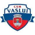 HC Vaslui logo