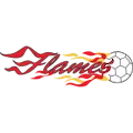 HSG Bensheim/Auerbach logo