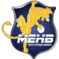 Massy Essonne logo