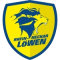 Rhein-Neckar logo