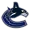 Vancouver Canucks