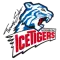 Nürnberg Ice Tigers