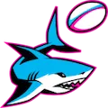 Miami Sharks