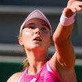 Alina Charaeva logo