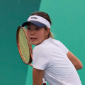 Yihan Qu